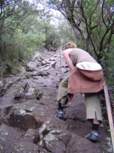 Climbing mount warning