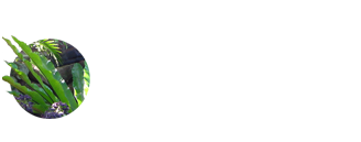 Tropical Coast Retreat